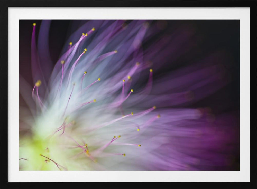 The Will-o-the-Wisp | Poster