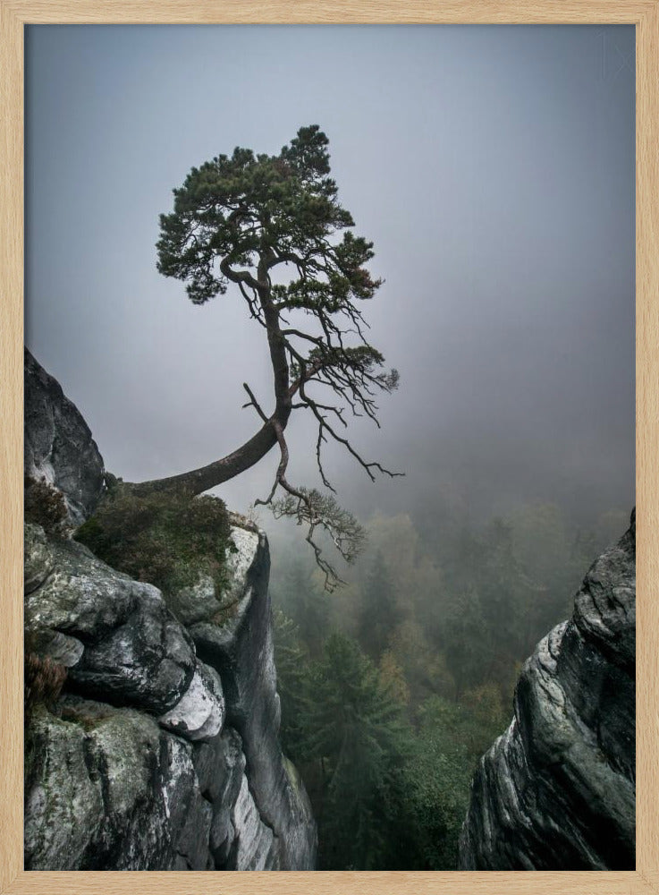 Against the Odds | Poster