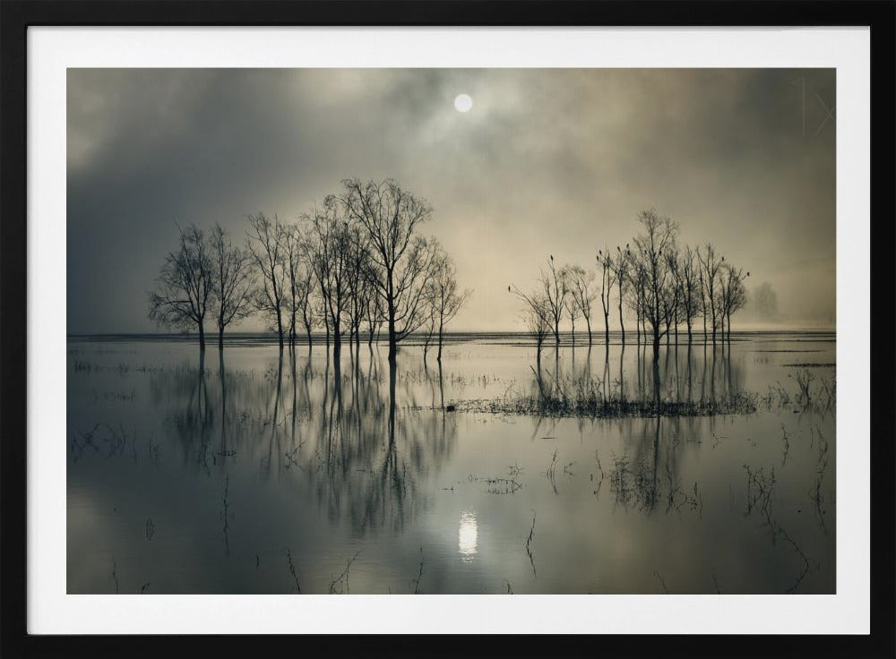 Lake's Secret | Poster