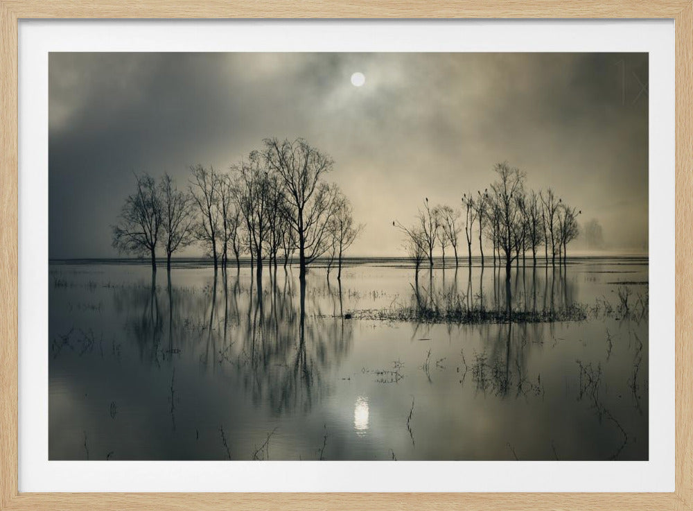 Lake's Secret | Poster