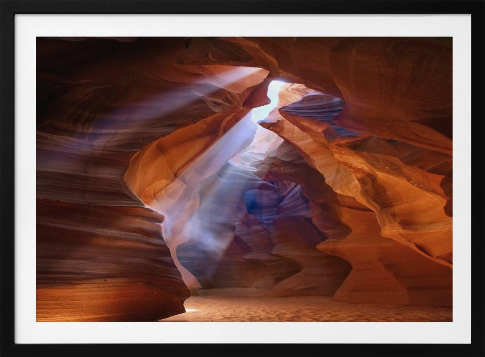 Pure Photodelight 2 | Poster