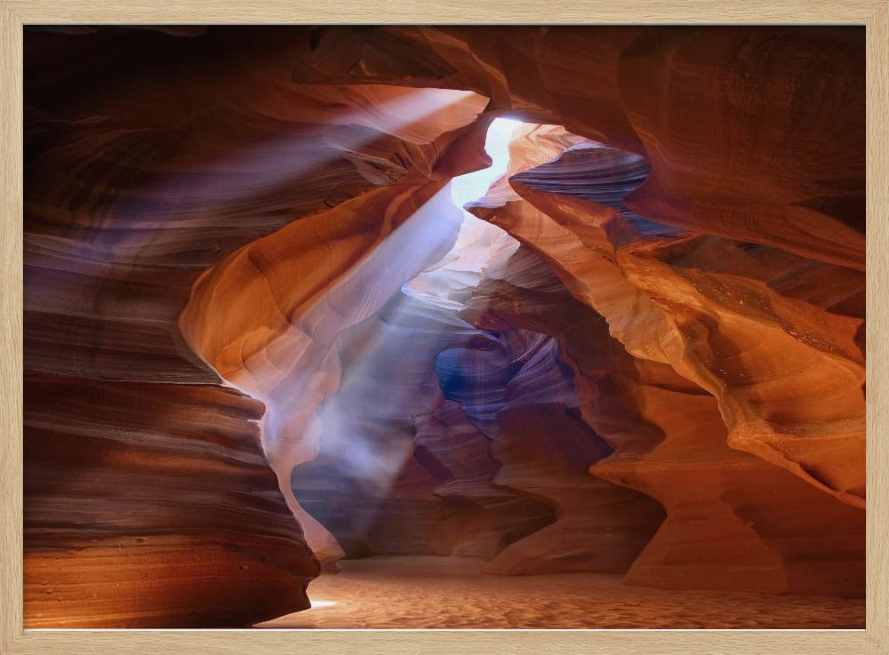 Pure Photodelight 2 | Poster