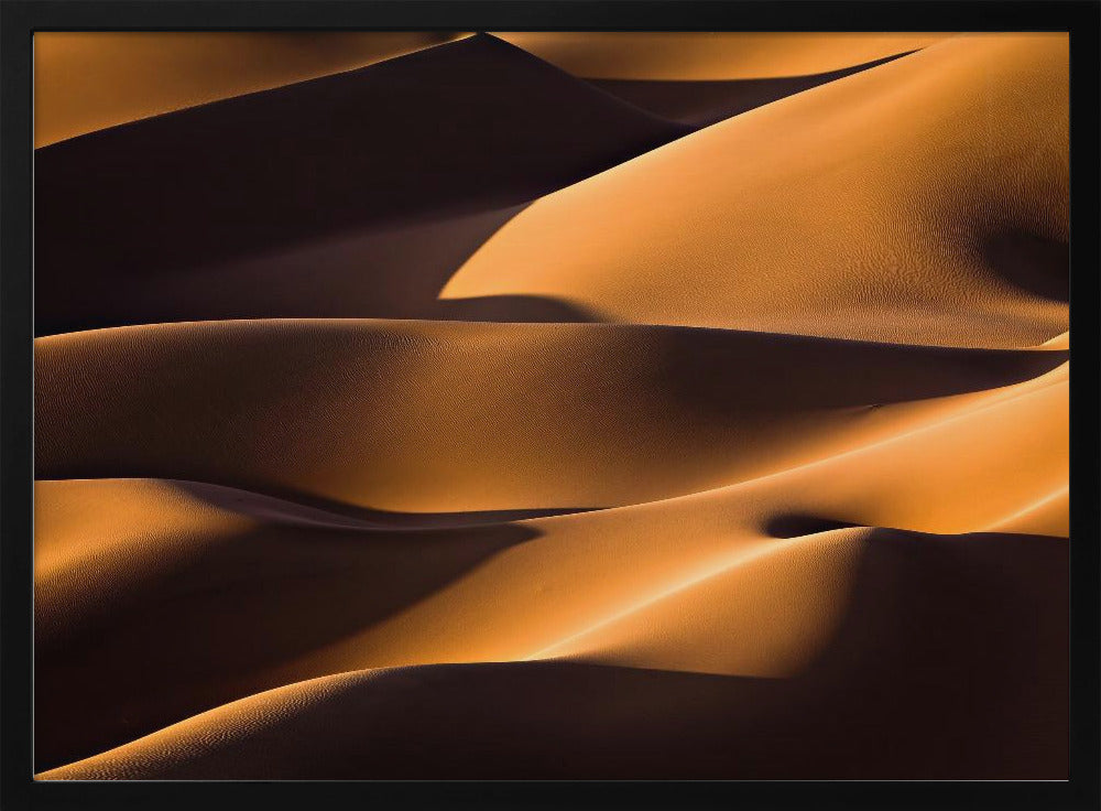 Light and Shadow | Poster