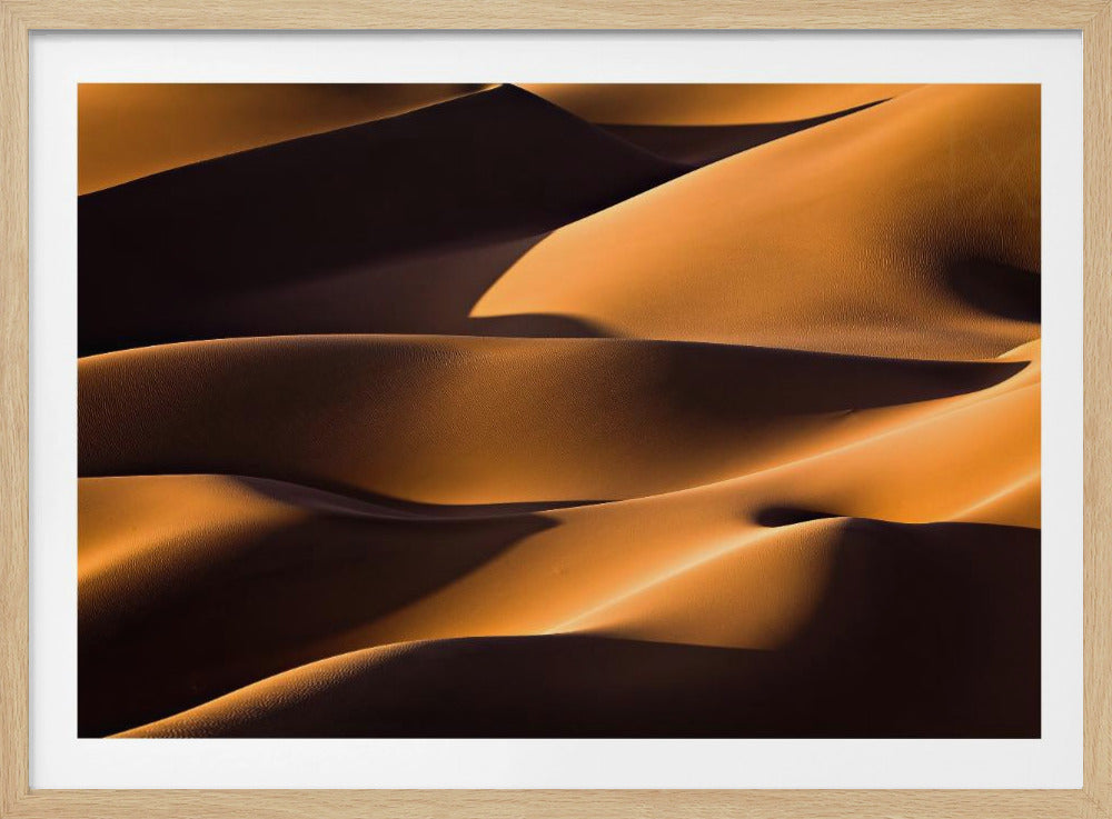 Light and Shadow | Poster