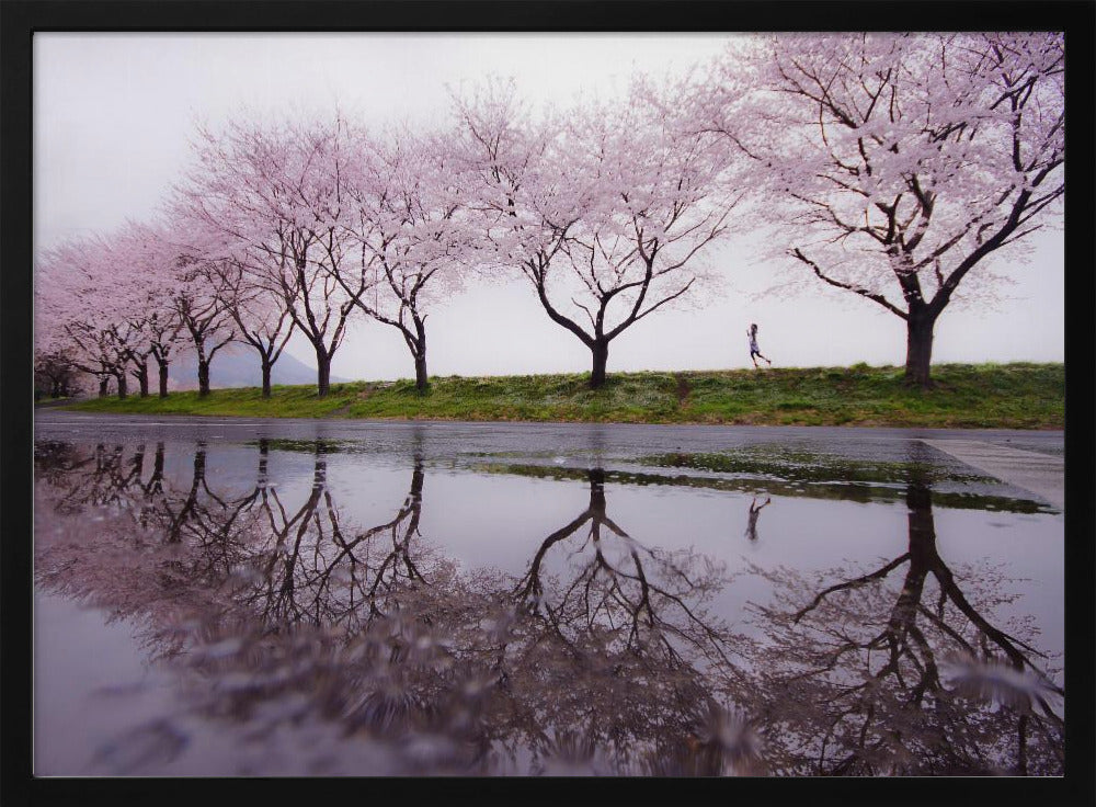 Rain of spring | Poster