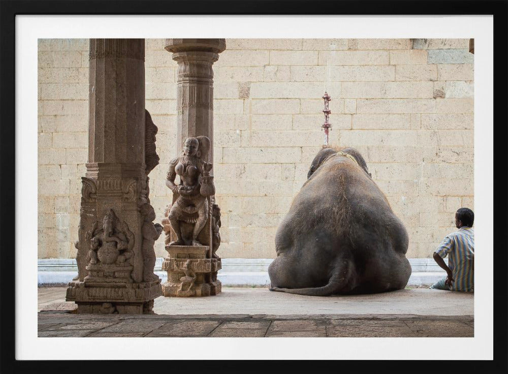 The Elephant & its Mahot | Poster