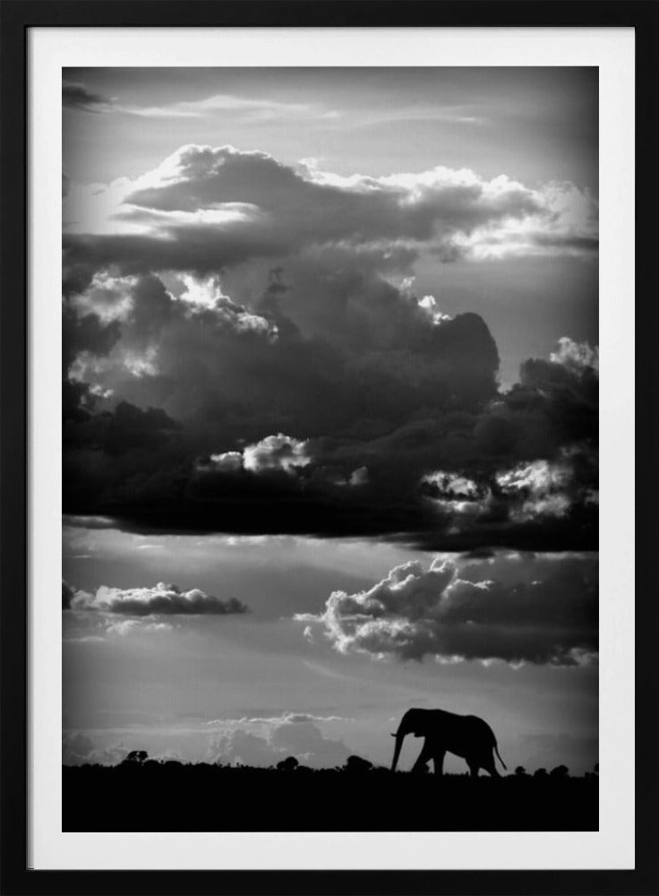 He walks under an African Sky | Poster