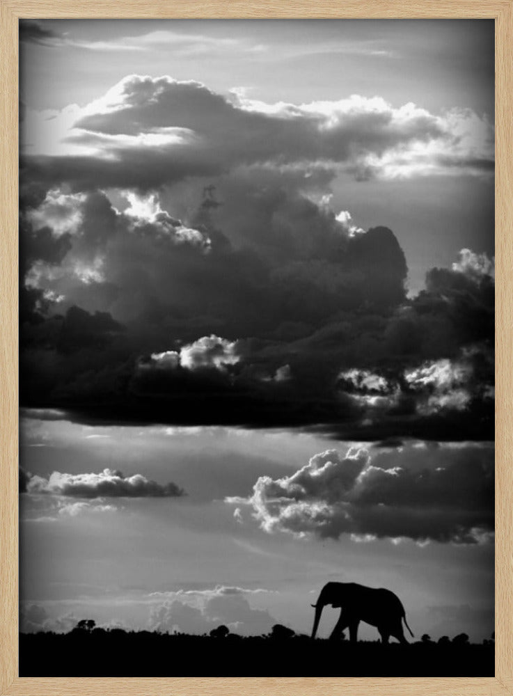 He walks under an African Sky | Poster