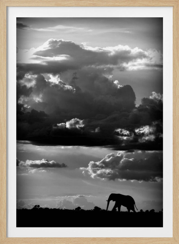He walks under an African Sky | Poster