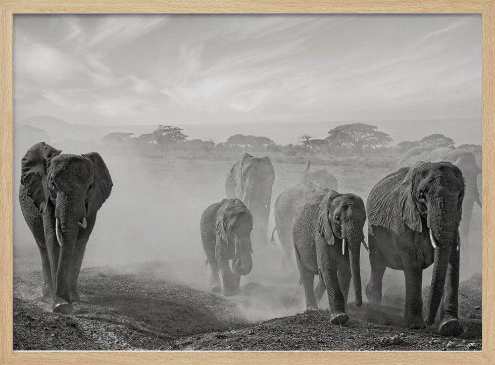 Sequence of emotion | Poster