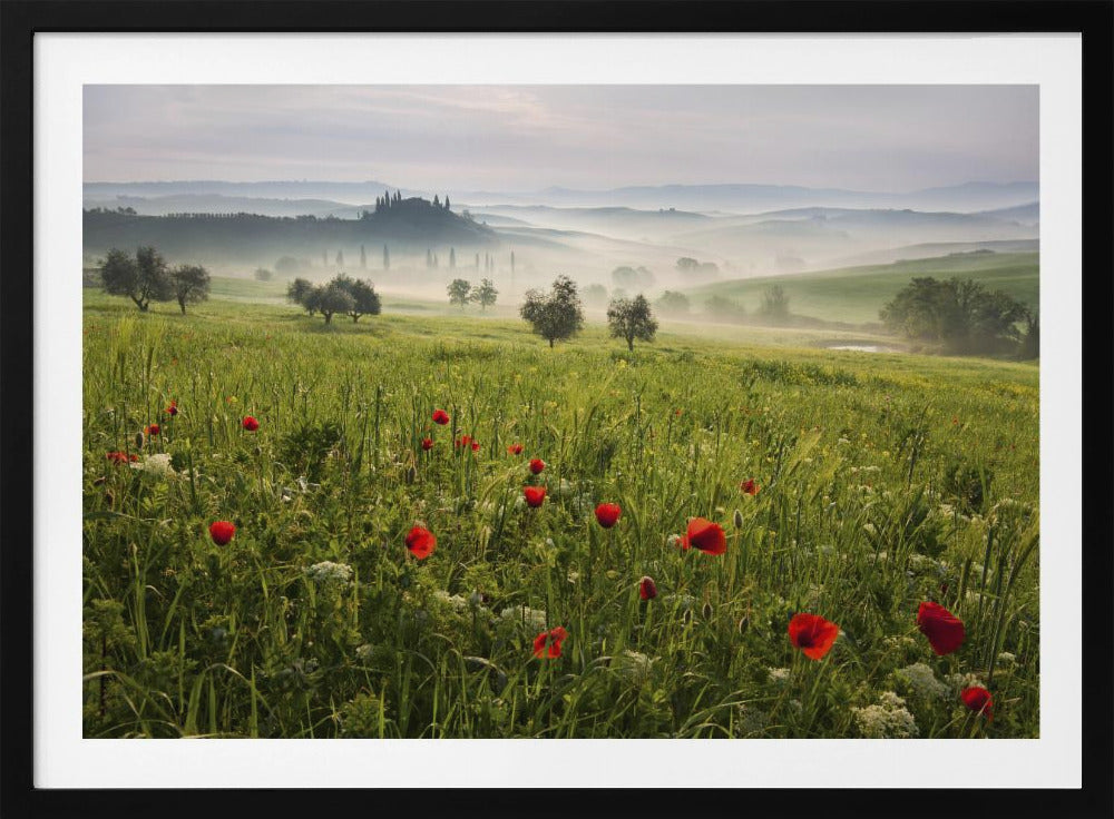 Tuscan spring | Poster