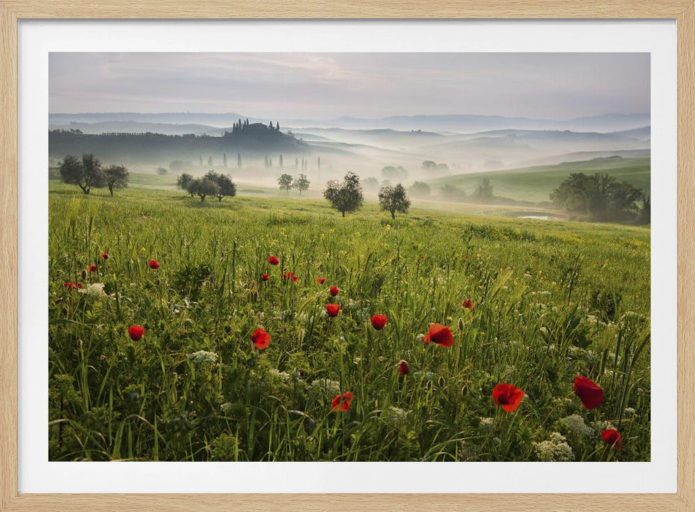 Tuscan spring | Poster