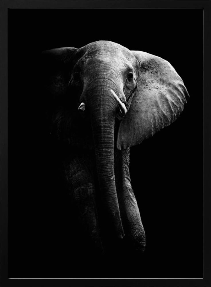 Elephant! | Poster