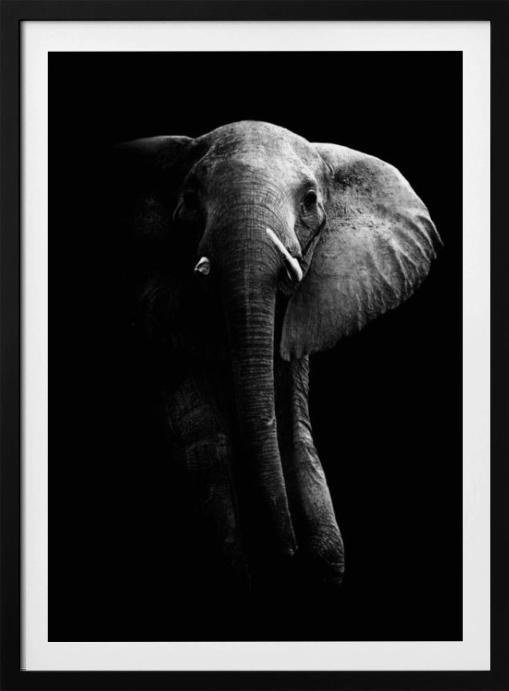 Elephant! | Poster