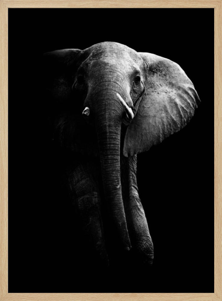 Elephant! | Poster