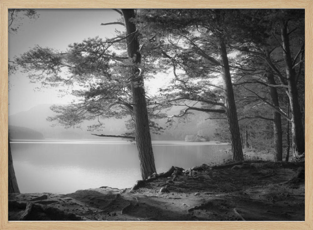 Loch an Eilein | Poster