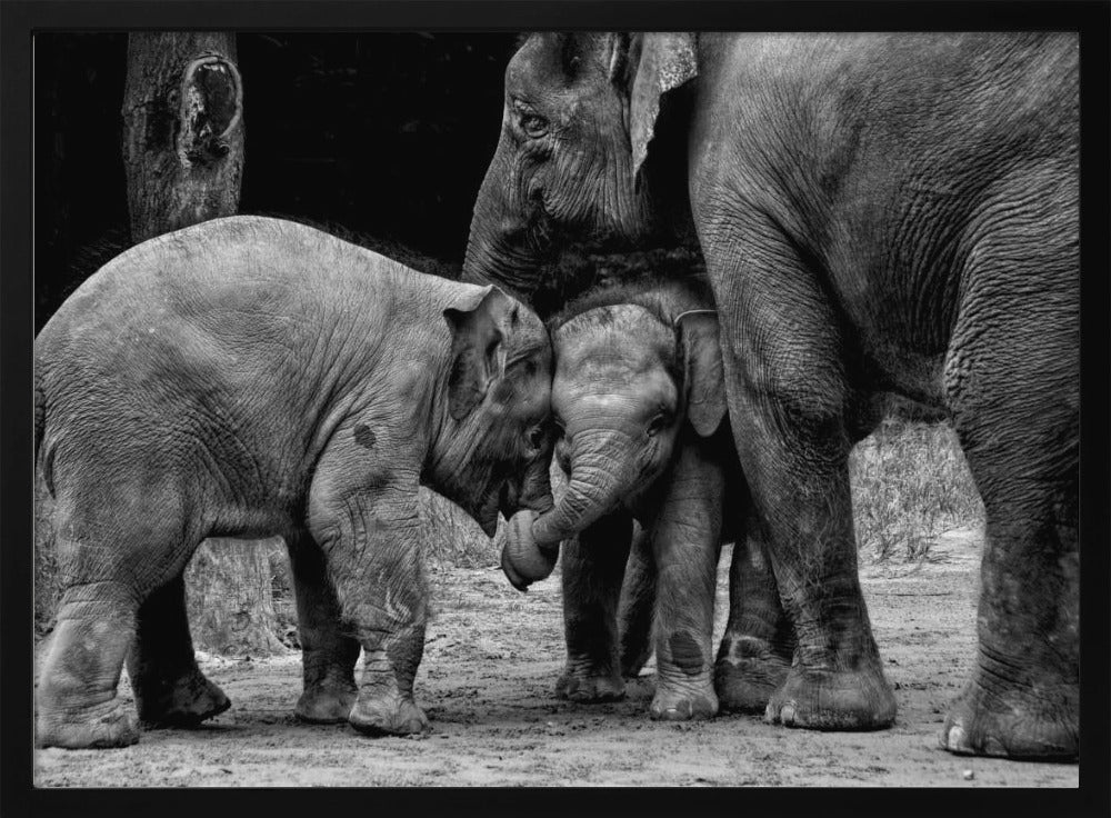 Friends Forever | Poster