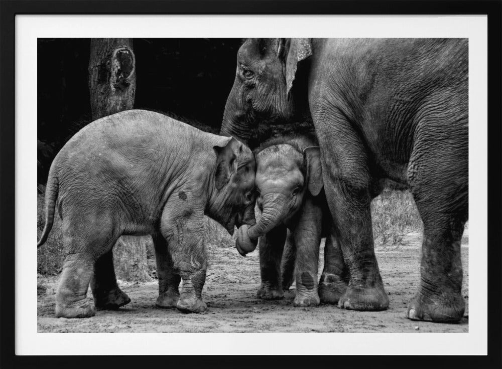 Friends Forever | Poster