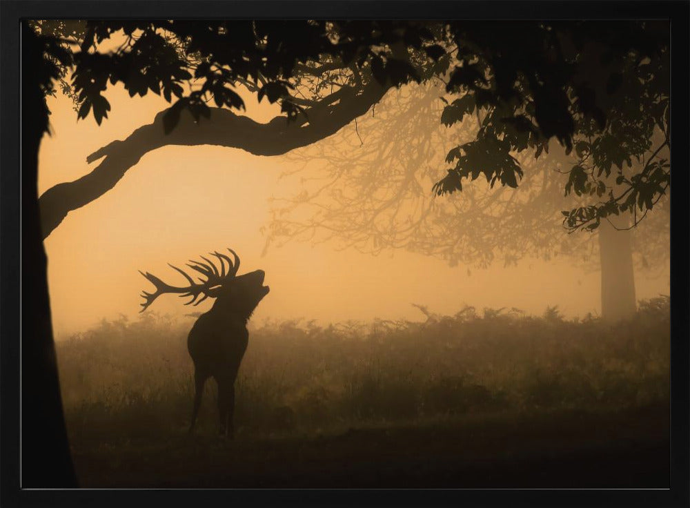 the love call | Poster