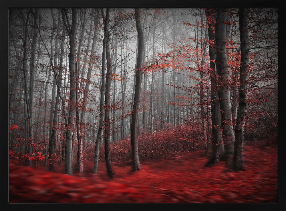 Bloody River | Poster