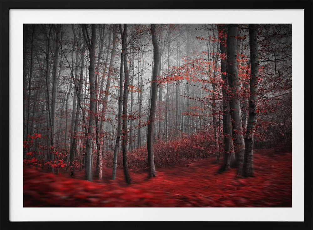 Bloody River | Poster