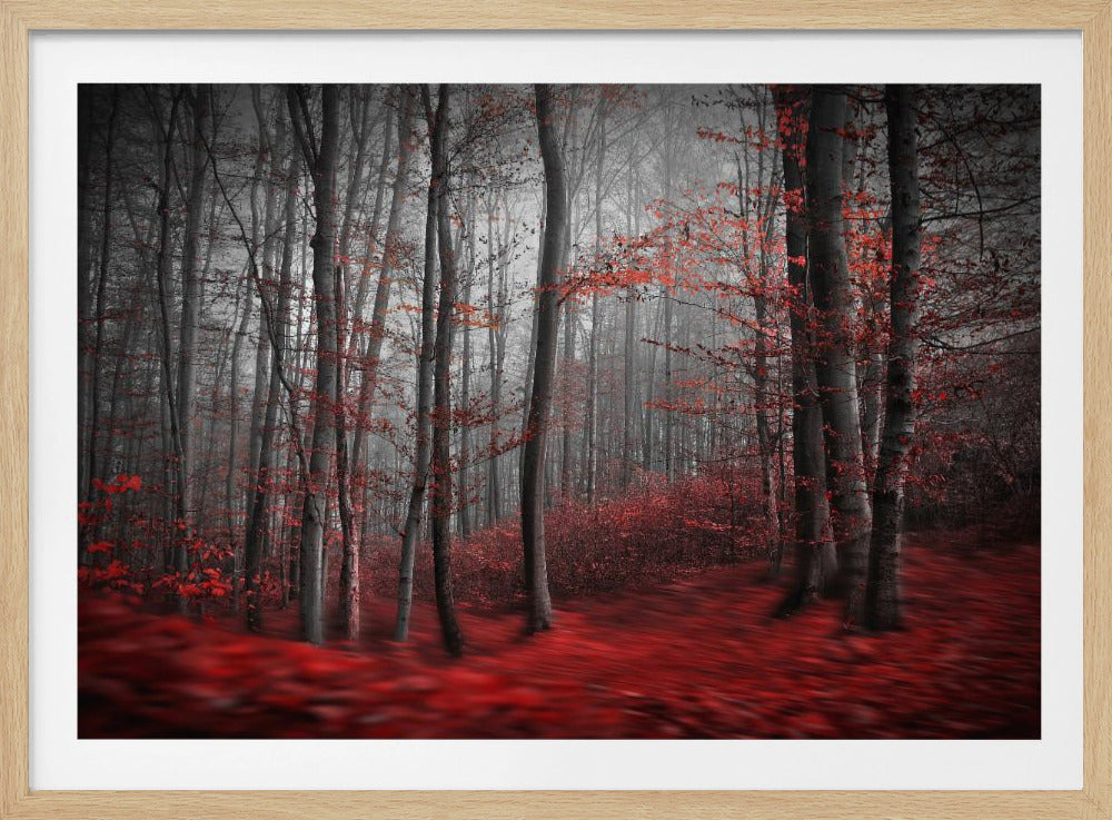 Bloody River | Poster