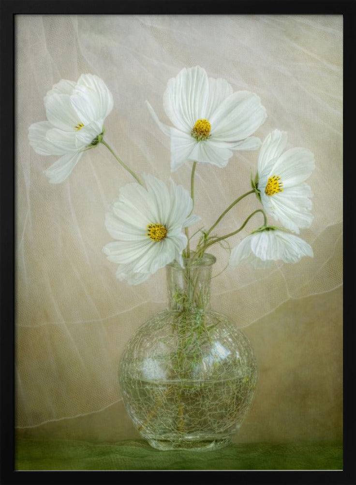 Cosmos breeze | Poster