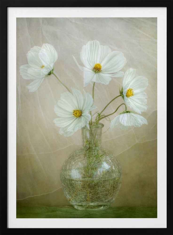 Cosmos breeze | Poster