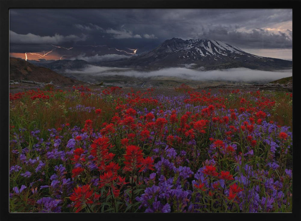 Apocalypse Now | Poster