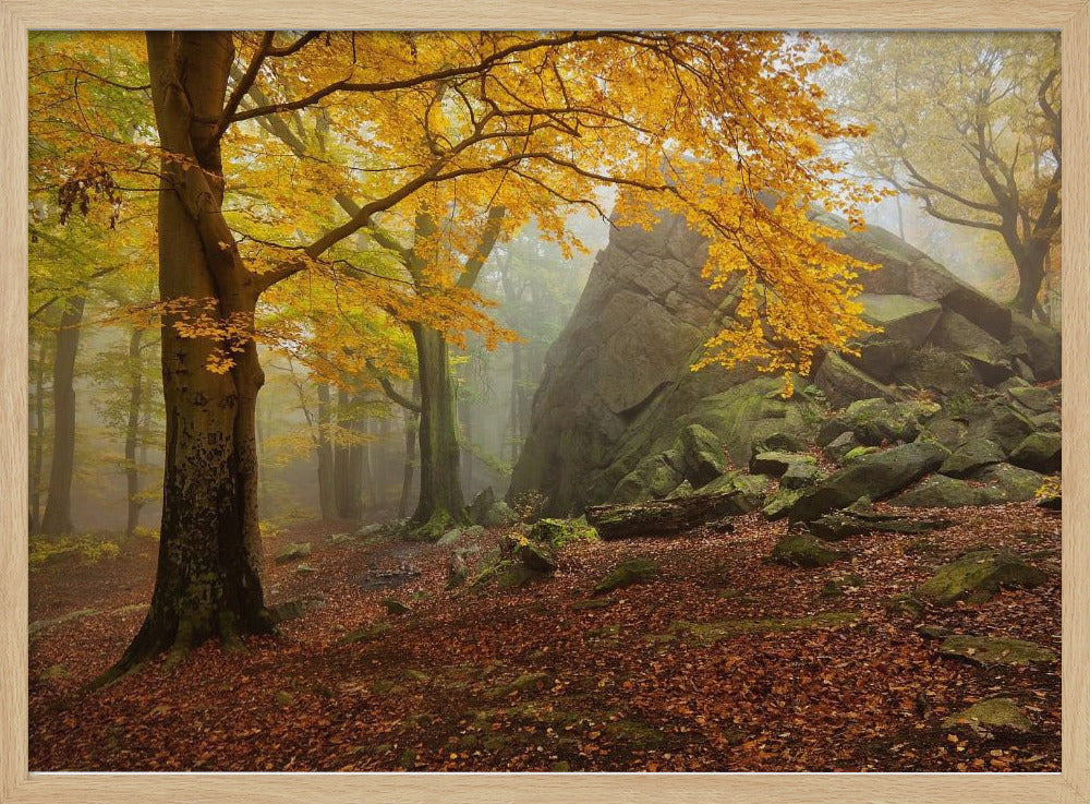 Autumn forest | Poster