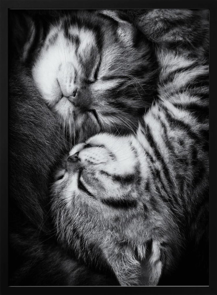 Yin and Yang | Poster