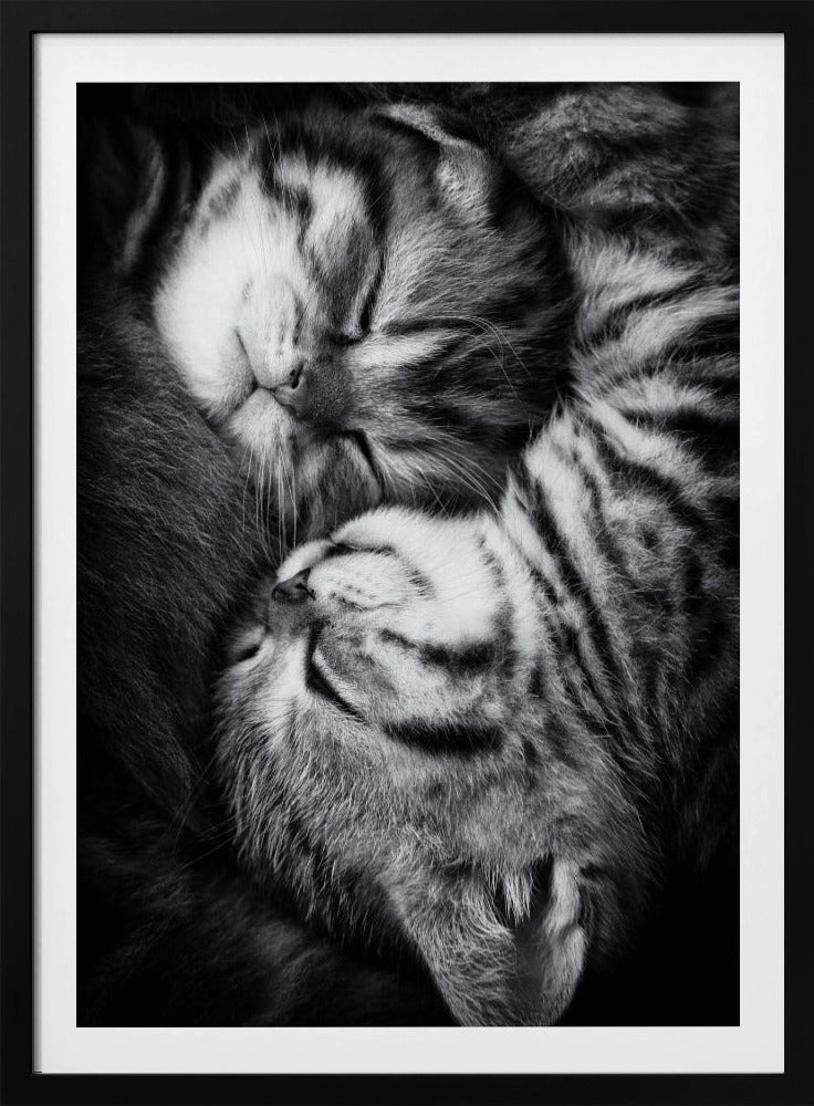 Yin and Yang | Poster