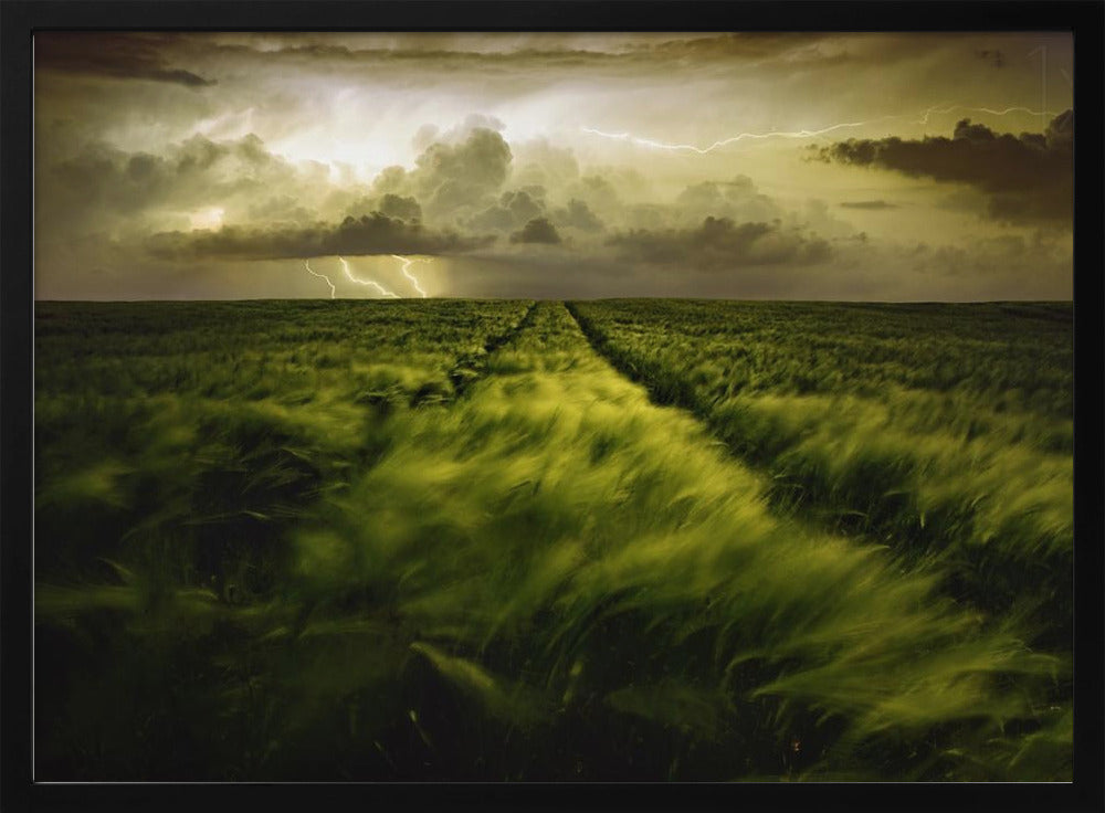 Journey to the Fierce Storm | Poster