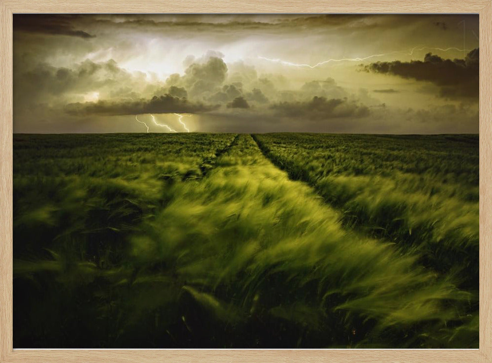 Journey to the Fierce Storm | Poster