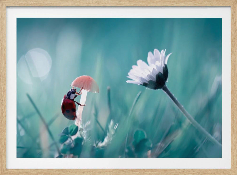 Speed dating | Poster