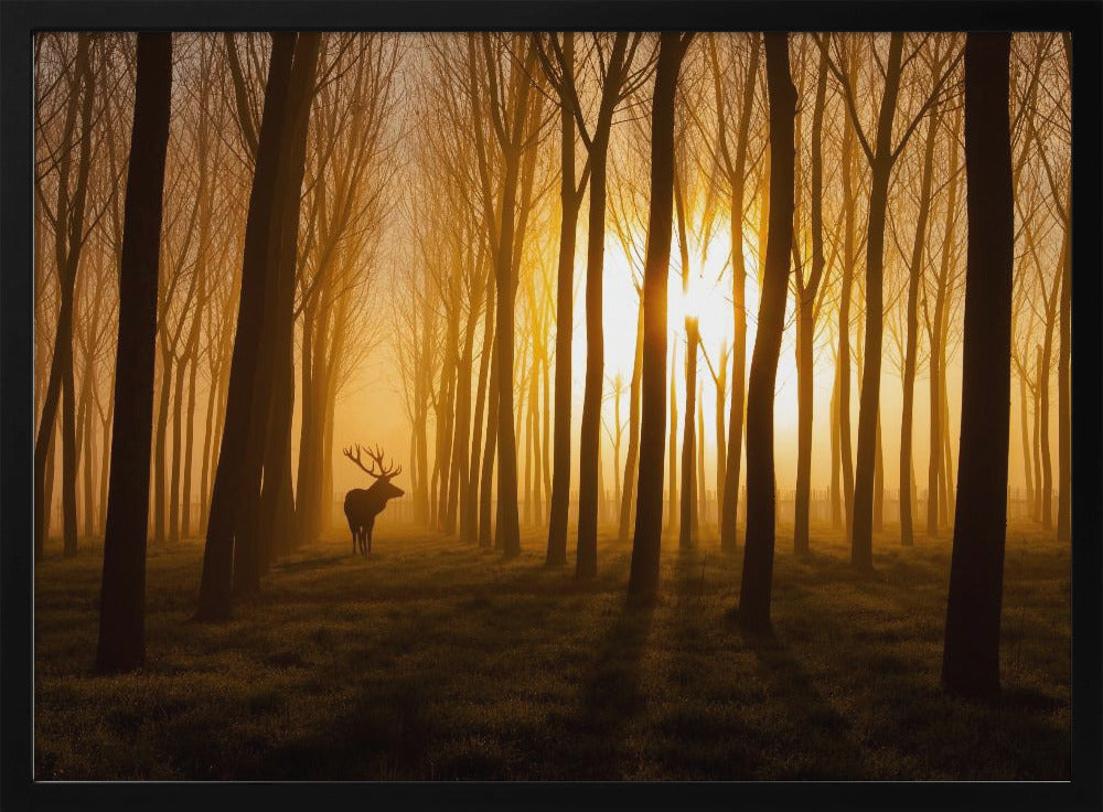 Once Upon a Time | Poster