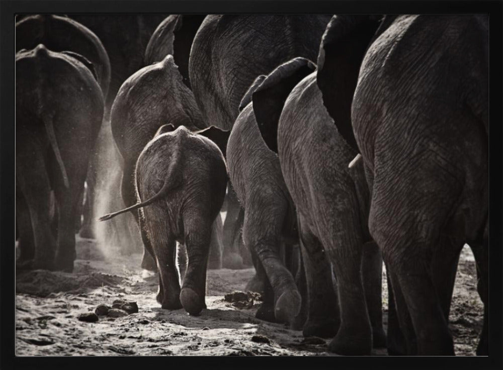 Walking Home | Poster