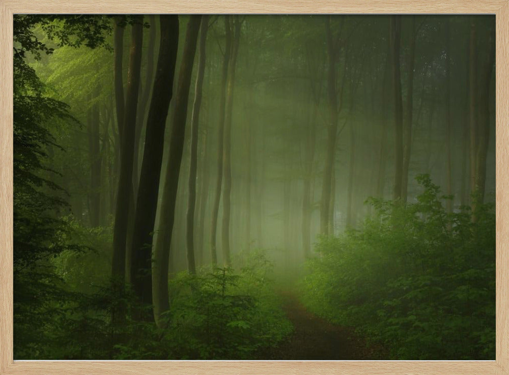 forest morning | Poster