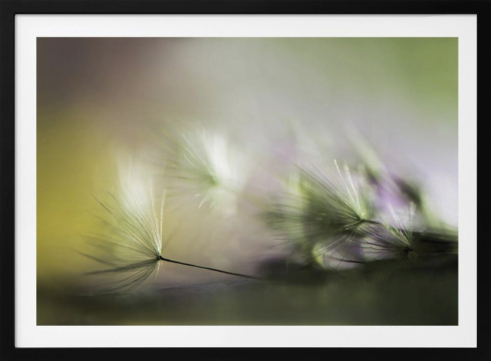 In the morning | Poster