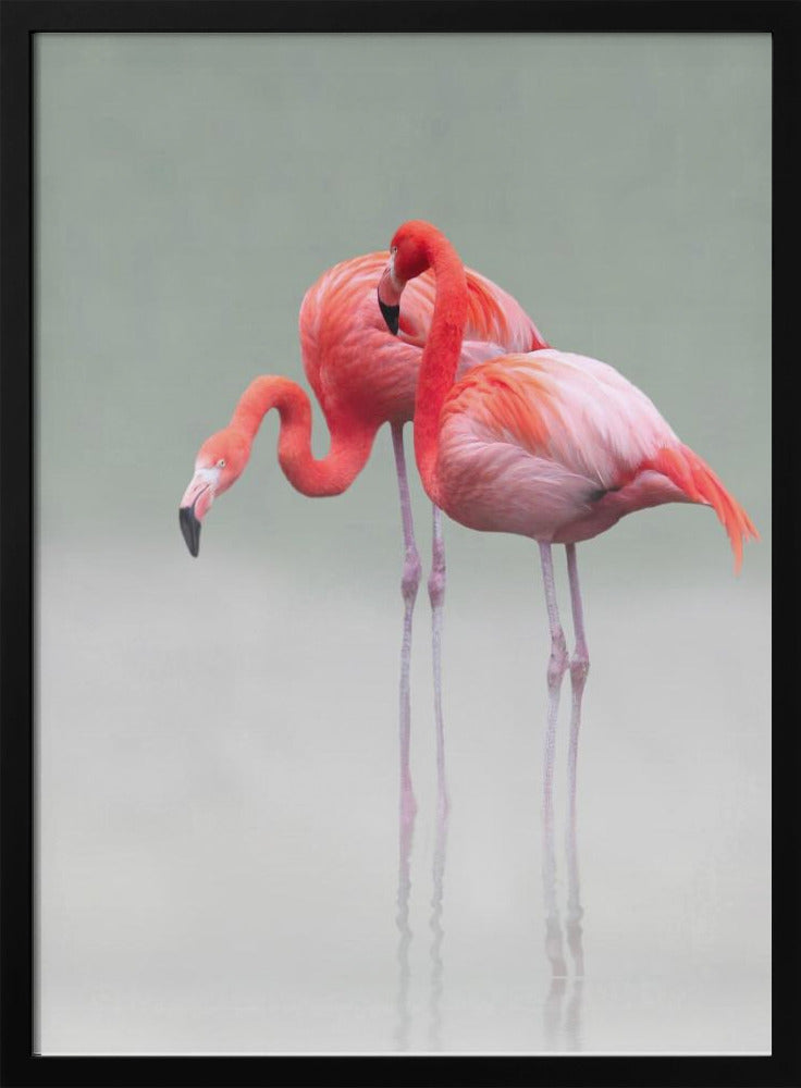 just we two ... | Poster