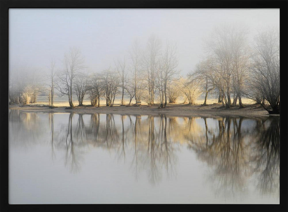 january morning | Poster