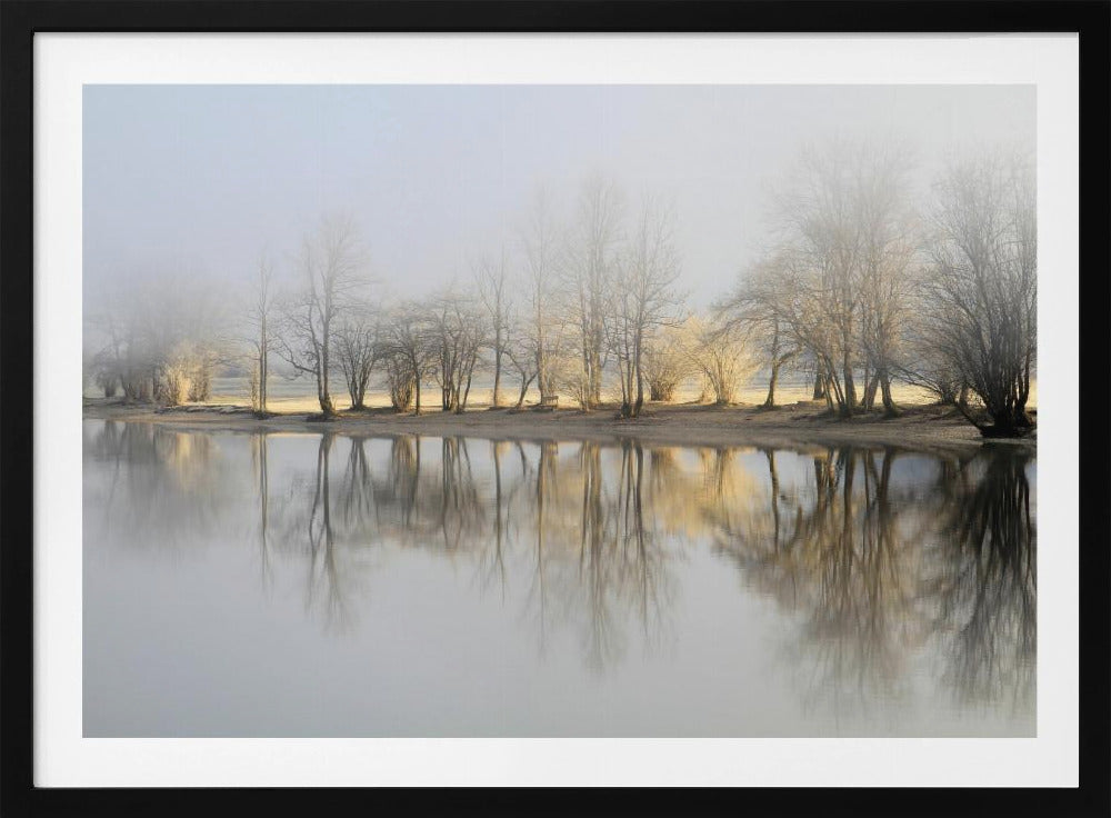 january morning | Poster