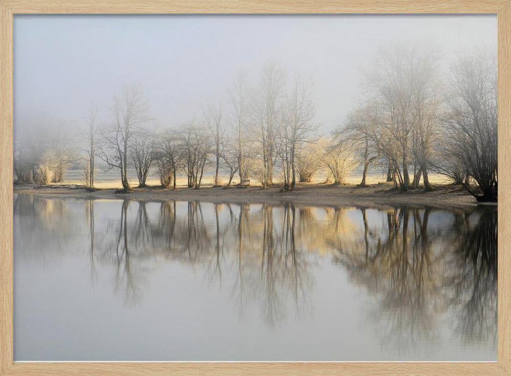 january morning | Poster