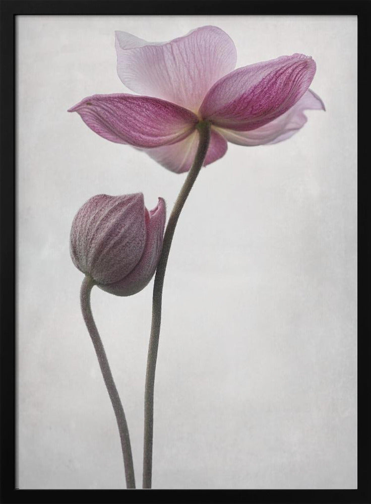 A Little Touch | Poster