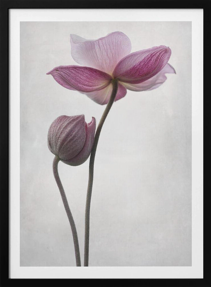 A Little Touch | Poster