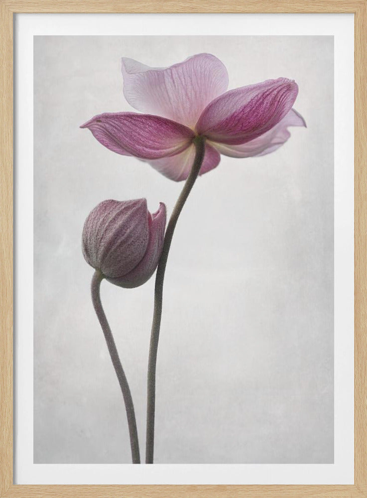 A Little Touch | Poster