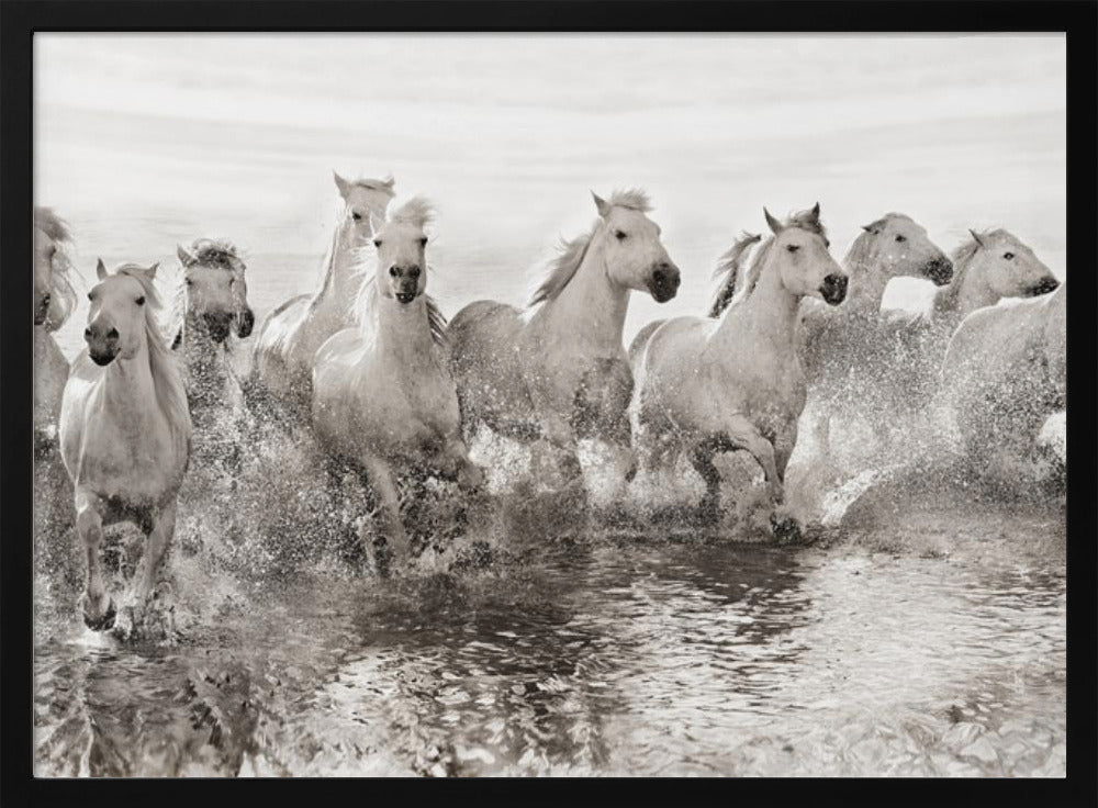 Illusion of power (13 horse power though) | Poster