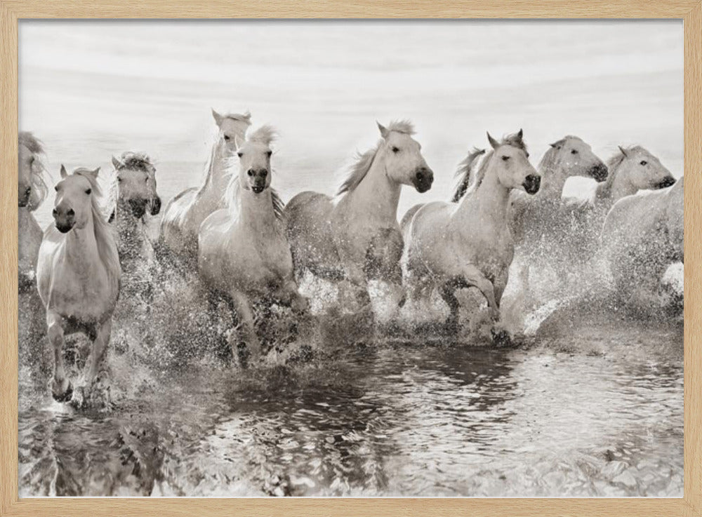 Illusion of power (13 horse power though) | Poster