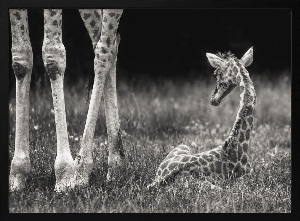 well protected | Poster