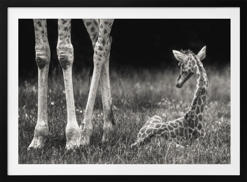 well protected | Poster